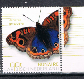 BONAIRE 2024 VLINDERS BUTTERFLIES PAPILLONS