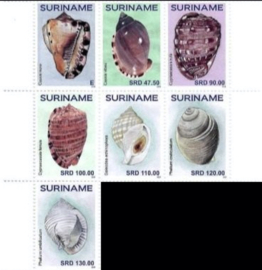REP. SURINAME 2024 SCHELPEN SHELLS