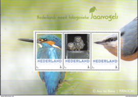 NEDERLANDSE VOGELS BIRDS  ++ M1-85