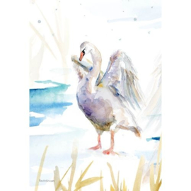2023 NEDERLAND MARKER WADDEN VOGELS ++ D(A)