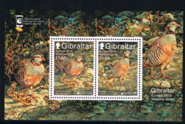 GIBRALTAR 2019 VOGELS BIRDS