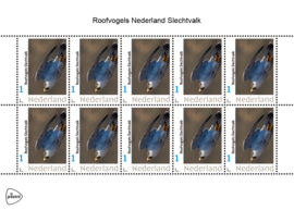 ROOFVOGELS NEDERLAND SLECHTVALK ++ D ( C ) 030