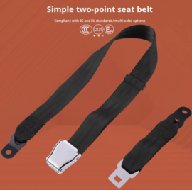 2 Point Airplane Buckle Lap Seat Belts Red