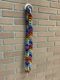 Lederen honden riem Rainbow