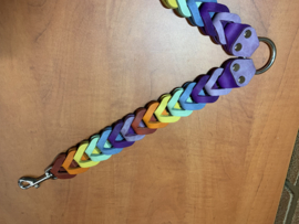 Leren duo honden riem Rainbow