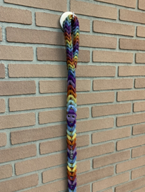 Lederen honden riem Rainbow