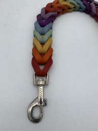 Lederen honden riem Rainbow