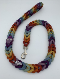 Lederen honden riem Rainbow