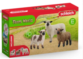 Schapen vrienden