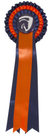 Rozet Blauw/Oranje