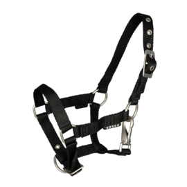 Horka veulenhalster met clip