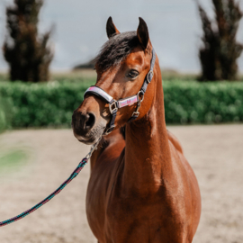 Halsterset Akira Holografisch