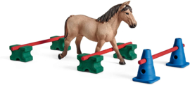 Pony slalom
