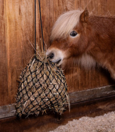 Shetty hooinet Slowfeed
