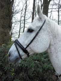 Horka Lak neusriem Zwart