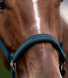 Waldhausen halster Atletisch