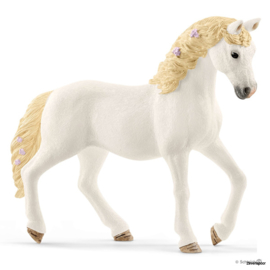 Horse Club Sofia & Blossom