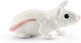 Horse Club Mia en Spotty