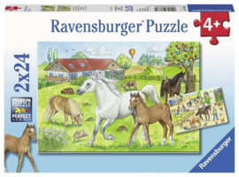 Ravensburg puzzel op de Manege 2 x 24 stukjes