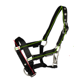 Horka veulenhalster met clip