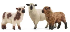 Schapen vrienden