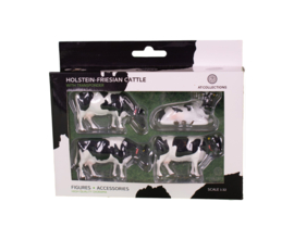 Holstein - Friesian Koeien