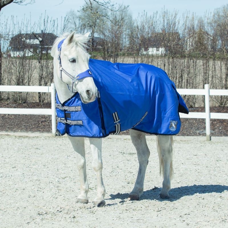 vloeistof sjaal Ideaal Horze Kids en ponies winterdeken 200 gram (LLB) | Winterdeken |  mirandasruitersport