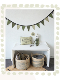 Kussen Stanley Stegosaurus | Dino kussen | 30 x 40 cm