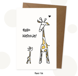 Geboortekaart - Giraffen - Hallo kleintje!