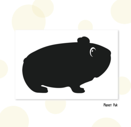 Sticker - Cavia