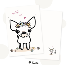 A5 Kaart - Queenie De Chihuahua  | Wenskaart