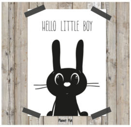 Poster/ kaart Konijn 20 x 30 cm - Hello little boy