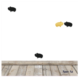 Stickersets - Cavia