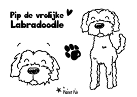 Pip de Labradoodle, decoratie op maat gemaakt