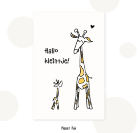 Geboortekaart - Giraffen - Hallo kleintje!
