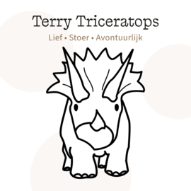 Terry Triceratops kinderkamer decoratie, op maat gemaakt