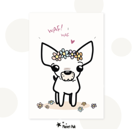 A5 Kaart - Queenie De Chihuahua  | Wenskaart