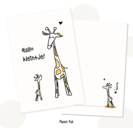 Geboortekaart - Giraffen - Hallo kleintje!