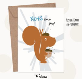 Eddie Eekhoorn - Nuts about you!! | A4 Poster / XXL kaart
