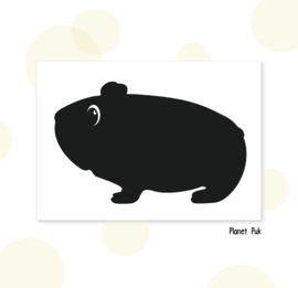 Sticker - Cavia