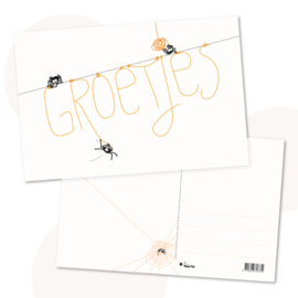 Ansichtkaart Spinnetjes - Groetjes