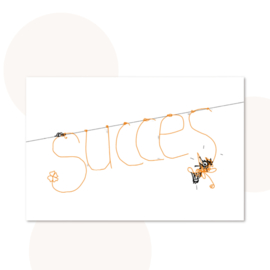 Ansichtkaart Spinnetjes - Succes
