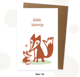 Geboortekaart vosje - Hallo kleintje!