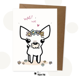 A5 Kaart - Queenie De Chihuahua  | Wenskaart
