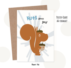 A4 Poster-Kaart | Eddie Eekhoorn - Nuts about you!!