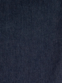 Nudie Jeans Meja Denim Shorts Rinse