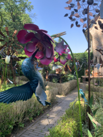 Bloem met fantasie kolibri