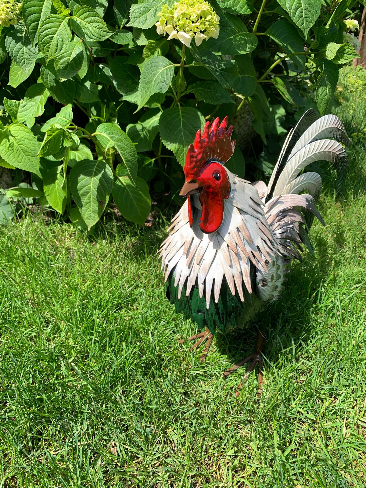 Haan/ hen van metaal