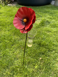 Regenmeter klaproos
