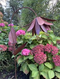 Gebogen bloemkelk 3D